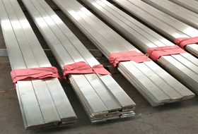 Stainless Steel 316L Patta